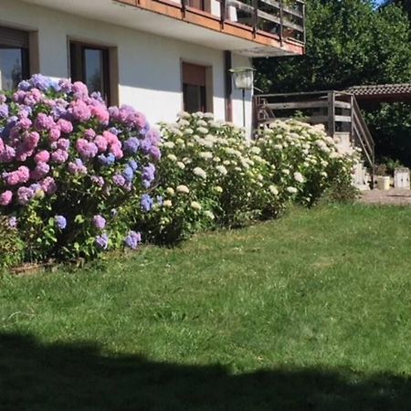 Villa Immersa Nel Verde A Lanzo dʼIntelvi מראה חיצוני תמונה